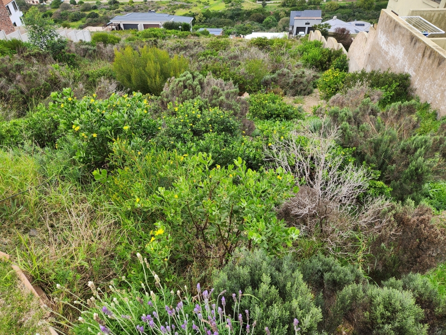 0 Bedroom Property for Sale in Island View Western Cape